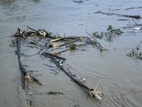 Aerial photo is showing houses and fields along the Wuyang River's Cenggong and Zhenyuan Yangping sections being flooded in Qiandongnan Pref...