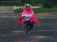 A woman is riding a motor scooter in stormy weather in Shanghai, China, on June 30, 2024. (