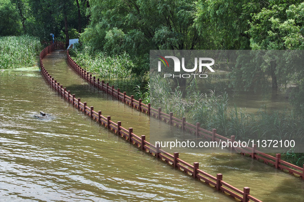 A flooded walkway is being seen after the Yangtze River is exceeding its warning level in Nanjing, Jiangsu province, China, on June 30, 2024...