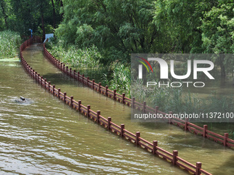 A flooded walkway is being seen after the Yangtze River is exceeding its warning level in Nanjing, Jiangsu province, China, on June 30, 2024...