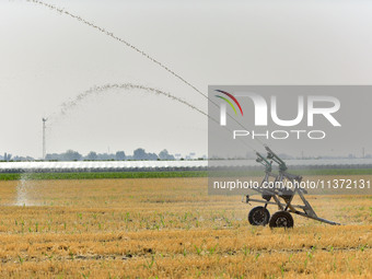 A sprinkler is working in a field in Qingzhou, China, on June 30, 2024. (