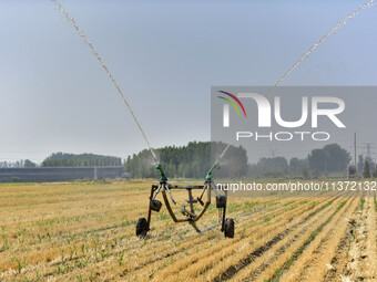 A sprinkler is working in a field in Qingzhou, China, on June 30, 2024. (