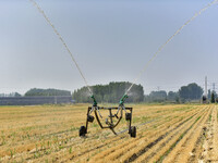 A sprinkler is working in a field in Qingzhou, China, on June 30, 2024. (