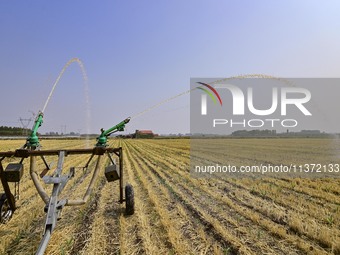 A sprinkler is working in a field in Qingzhou, China, on June 30, 2024. (