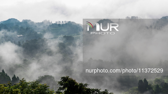 Advection fog is being seen in a mountain village in Chongqing, China, on June 30, 2024. 