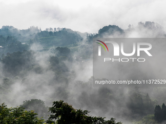 Advection fog is being seen in a mountain village in Chongqing, China, on June 30, 2024. (