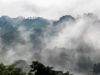 Advection fog is being seen in a mountain village in Chongqing, China, on June 30, 2024. (