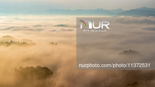 Advection fog is being seen in a mountain village in Chongqing, China, on June 30, 2024. 