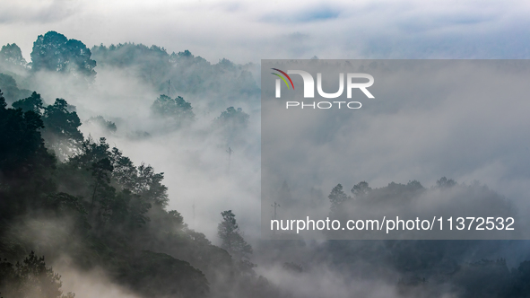 Advection fog is being seen in a mountain village in Chongqing, China, on June 30, 2024. 