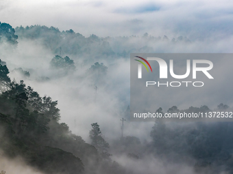 Advection fog is being seen in a mountain village in Chongqing, China, on June 30, 2024. (