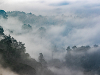 Advection fog is being seen in a mountain village in Chongqing, China, on June 30, 2024. (