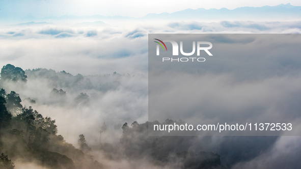 Advection fog is being seen in a mountain village in Chongqing, China, on June 30, 2024. 