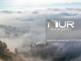 Advection fog is being seen in a mountain village in Chongqing, China, on June 30, 2024. (