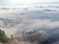 Advection fog is being seen in a mountain village in Chongqing, China, on June 30, 2024. (