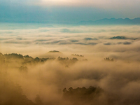 Advection fog is being seen in a mountain village in Chongqing, China, on June 30, 2024. (