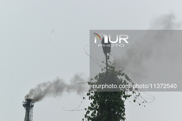 A bird is sitting on a broken lamp post next to a chimney, which is emitting smoke from a factory in an industrial area on the outskirts of...