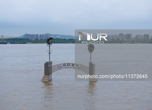 The water level of the Yangtze River is rising above the warning line in Nanjing, China, on June 30, 2024. 