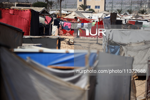 Palestinians are walking along an alley between tents sheltering displaced Palestinians in Rafah in the southern Gaza Strip on June 30, 2024...