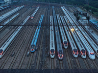 Bullet trains are stopping at the Nanjing section in Nanjing, Jiangsu province, China, in the early morning of July 1, 2024. (