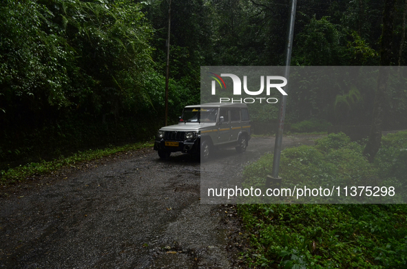 A passenger car is passing through the forest area of Singalila National Park in Darjeeling District, West Bengal, India, on June 29, 2024. 