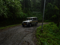 A passenger car is passing through the forest area of Singalila National Park in Darjeeling District, West Bengal, India, on June 29, 2024....