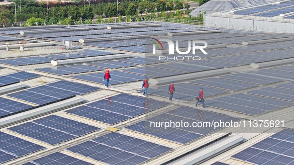 Power technicians are inspecting the operation of rooftop solar photovoltaic modules in Chuzhou, China, on June 30, 2024. 