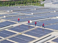 Power technicians are inspecting the operation of rooftop solar photovoltaic modules in Chuzhou, China, on June 30, 2024. (