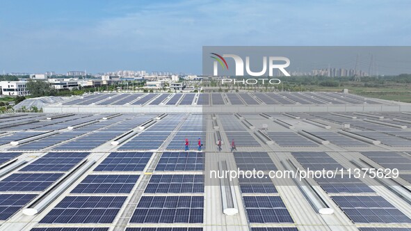 Power technicians are inspecting the operation of rooftop solar photovoltaic modules in Chuzhou, China, on June 30, 2024. 