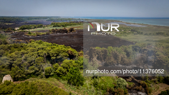 A drone view of wildfire in Le Cesine Nature Reserve, Italy, on July 1, 2024. A vast fire broke out in the afternoon on June 30, 2024, in th...