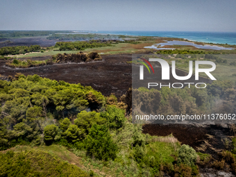 A drone view of wildfire in Le Cesine Nature Reserve, Italy, on July 1, 2024. A vast fire broke out in the afternoon on June 30, 2024, in th...