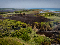 A drone view of wildfire in Le Cesine Nature Reserve, Italy, on July 1, 2024. A vast fire broke out in the afternoon on June 30, 2024, in th...