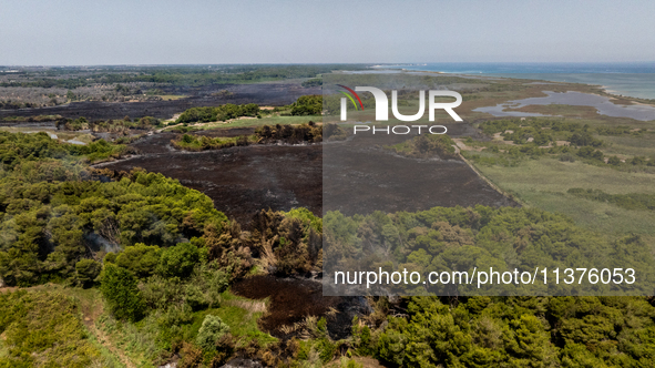 A drone view of wildfire in Le Cesine Nature Reserve, Italy, on July 1, 2024. A vast fire broke out in the afternoon on June 30, 2024, in th...