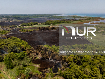 A drone view of wildfire in Le Cesine Nature Reserve, Italy, on July 1, 2024. A vast fire broke out in the afternoon on June 30, 2024, in th...