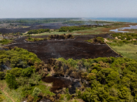 A drone view of wildfire in Le Cesine Nature Reserve, Italy, on July 1, 2024. A vast fire broke out in the afternoon on June 30, 2024, in th...