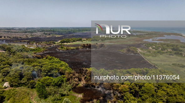 A drone view of wildfire in Le Cesine Nature Reserve, Italy, on July 1, 2024. A vast fire broke out in the afternoon on June 30, 2024, in th...