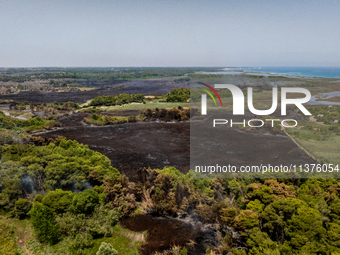 A drone view of wildfire in Le Cesine Nature Reserve, Italy, on July 1, 2024. A vast fire broke out in the afternoon on June 30, 2024, in th...