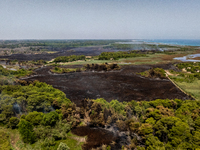 A drone view of wildfire in Le Cesine Nature Reserve, Italy, on July 1, 2024. A vast fire broke out in the afternoon on June 30, 2024, in th...