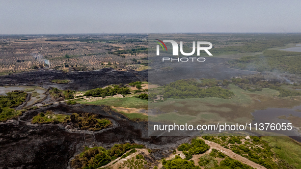 A drone view of wildfire in Le Cesine Nature Reserve, Italy, on July 1, 2024. A vast fire broke out in the afternoon on June 30, 2024, in th...