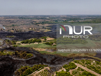 A drone view of wildfire in Le Cesine Nature Reserve, Italy, on July 1, 2024. A vast fire broke out in the afternoon on June 30, 2024, in th...