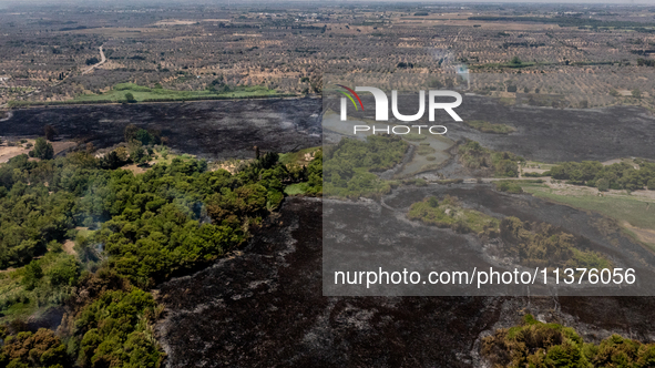 A drone view of wildfire in Le Cesine Nature Reserve, Italy, on July 1, 2024. A vast fire broke out in the afternoon on June 30, 2024, in th...