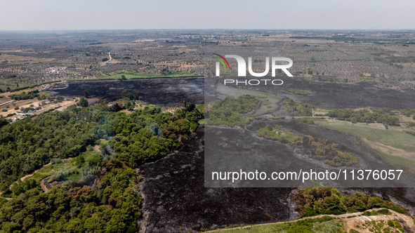 A drone view of wildfire in Le Cesine Nature Reserve, Italy, on July 1, 2024. A vast fire broke out in the afternoon on June 30, 2024, in th...