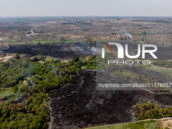 A drone view of wildfire in Le Cesine Nature Reserve, Italy, on July 1, 2024. A vast fire broke out in the afternoon on June 30, 2024, in th...