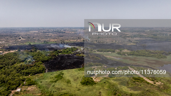 A drone view of wildfire in Le Cesine Nature Reserve, Italy, on July 1, 2024. A vast fire broke out in the afternoon on June 30, 2024, in th...