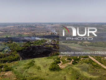 A drone view of wildfire in Le Cesine Nature Reserve, Italy, on July 1, 2024. A vast fire broke out in the afternoon on June 30, 2024, in th...