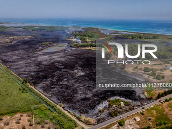 A drone view of wildfire in Le Cesine Nature Reserve, Italy, on July 1, 2024. A vast fire broke out in the afternoon on June 30, 2024, in th...