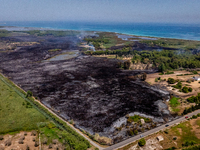 A drone view of wildfire in Le Cesine Nature Reserve, Italy, on July 1, 2024. A vast fire broke out in the afternoon on June 30, 2024, in th...