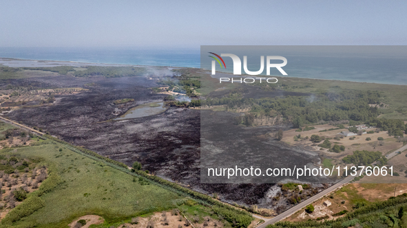 A drone view of wildfire in Le Cesine Nature Reserve, Italy, on July 1, 2024. A vast fire broke out in the afternoon on June 30, 2024, in th...