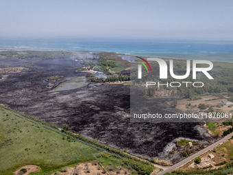 A drone view of wildfire in Le Cesine Nature Reserve, Italy, on July 1, 2024. A vast fire broke out in the afternoon on June 30, 2024, in th...