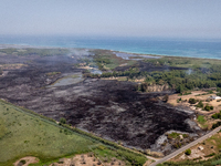 A drone view of wildfire in Le Cesine Nature Reserve, Italy, on July 1, 2024. A vast fire broke out in the afternoon on June 30, 2024, in th...