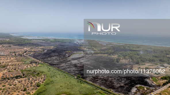 A drone view of wildfire in Le Cesine Nature Reserve, Italy, on July 1, 2024. A vast fire broke out in the afternoon on June 30, 2024, in th...